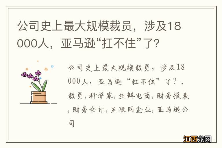 公司史上最大规模裁员，涉及18000人，亚马逊“扛不住”了？