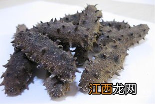 海参和海茄子的区别