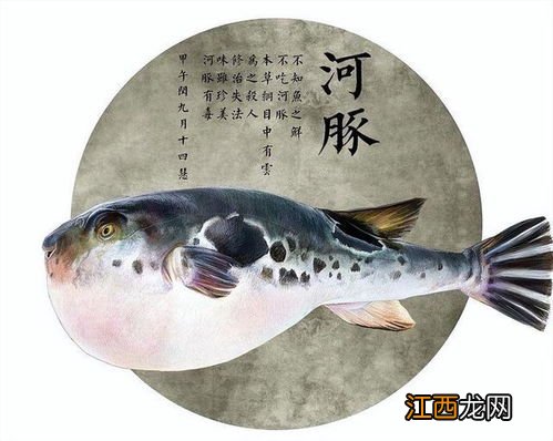 河豚刺身有毒吗