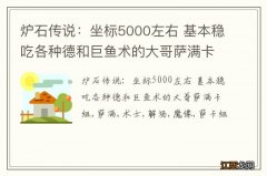 炉石传说：坐标5000左右 基本稳吃各种德和巨鱼术的大哥萨满卡组