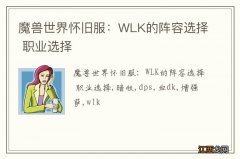 魔兽世界怀旧服：WLK的阵容选择 职业选择