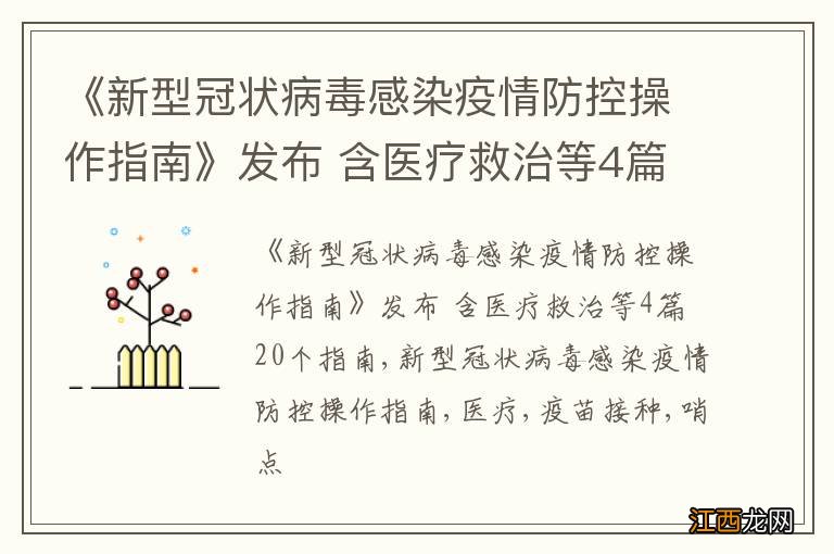 《新型冠状病毒感染疫情防控操作指南》发布 含医疗救治等4篇20个指南