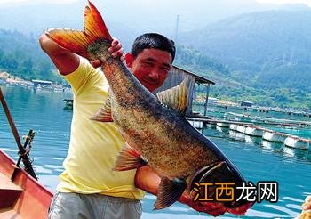 河蟹放生到哪里能活