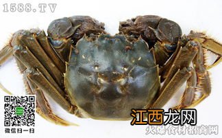 河蟹能吃吗