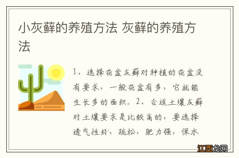 小灰藓的养殖方法 灰藓的养殖方法