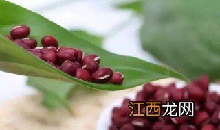 红豆怎么养 红豆的养殖方法