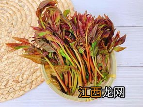 香椿需要焯水吗