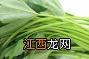 脐橙怎样蒸治咳嗽 治咳嗽蒸橙子蒸几分钟