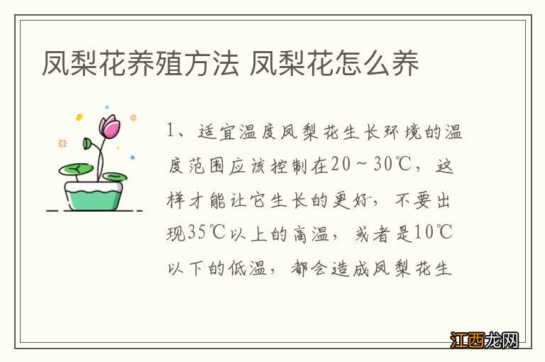 凤梨花养殖方法 凤梨花怎么养