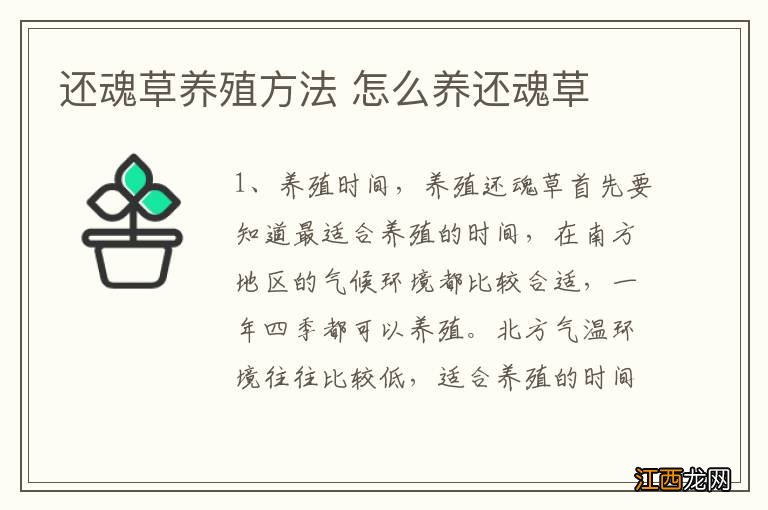 还魂草养殖方法 怎么养还魂草