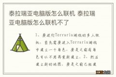 泰拉瑞亚电脑版怎么联机 泰拉瑞亚电脑版怎么联机不了