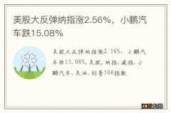 美股大反弹纳指涨2.56%，小鹏汽车跌15.08%