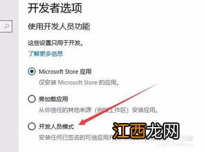 开发人员选项怎么打开