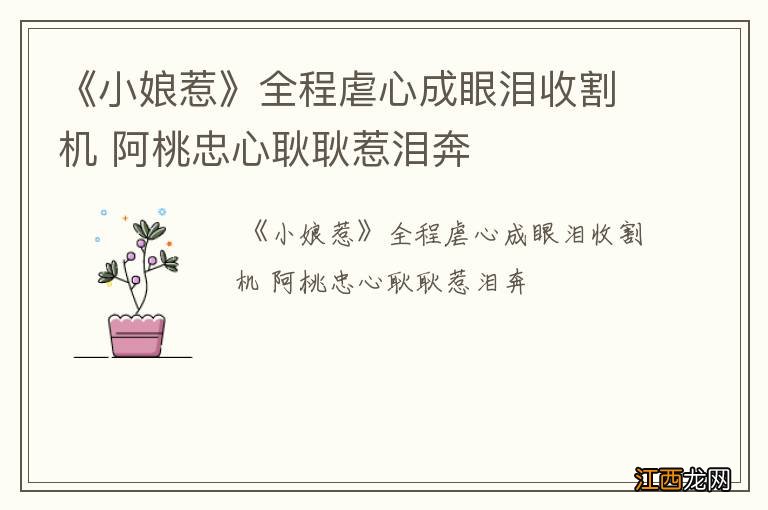 《小娘惹》全程虐心成眼泪收割机 阿桃忠心耿耿惹泪奔