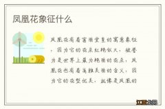 凤凰花象征什么