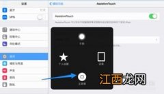 ipad2020小圆点怎么设置