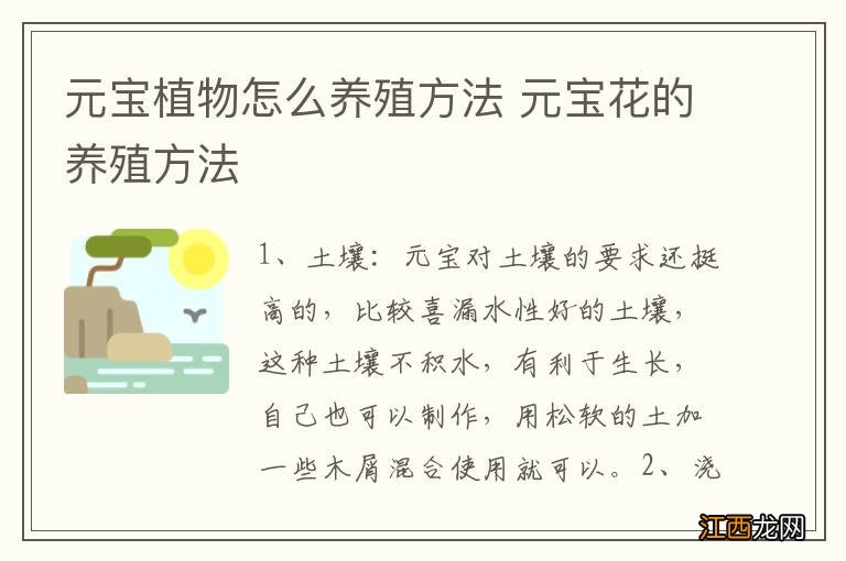 元宝植物怎么养殖方法 元宝花的养殖方法