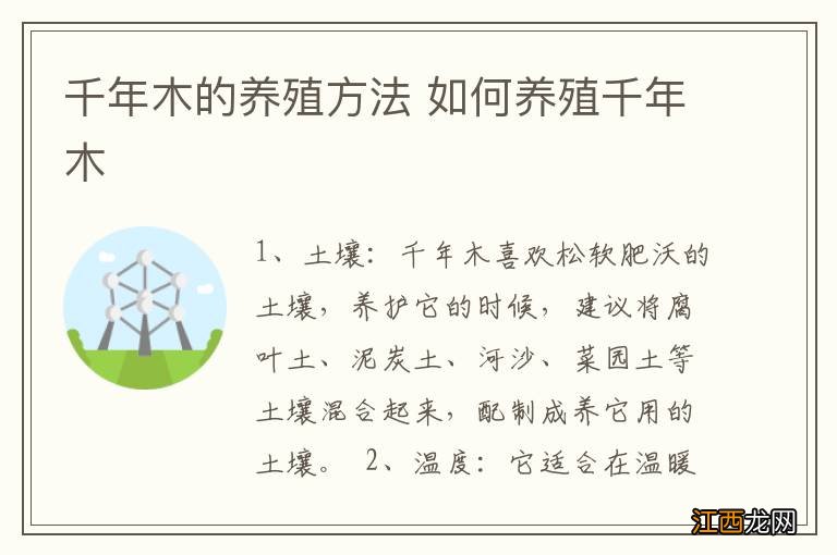 千年木的养殖方法 如何养殖千年木