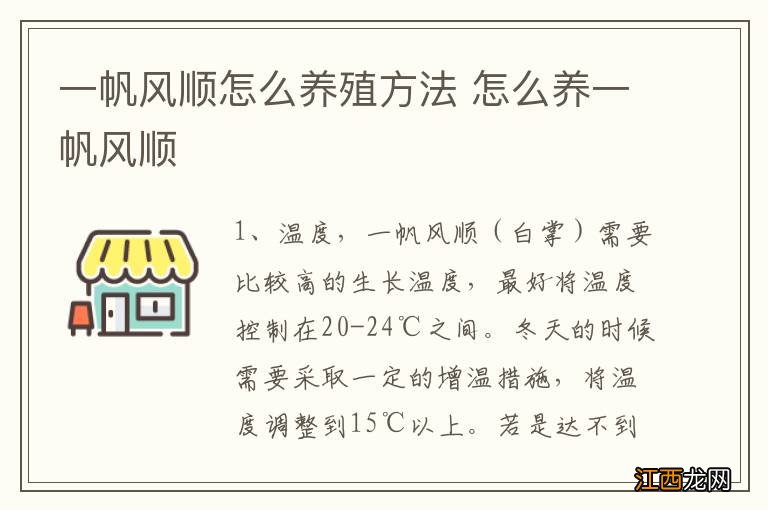 一帆风顺怎么养殖方法 怎么养一帆风顺