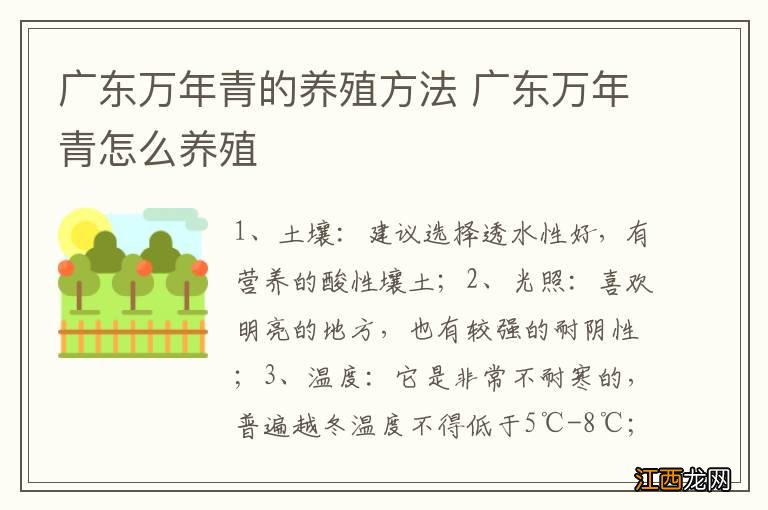 广东万年青的养殖方法 广东万年青怎么养殖