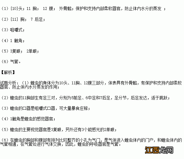 蝗虫有几对足有什么作用