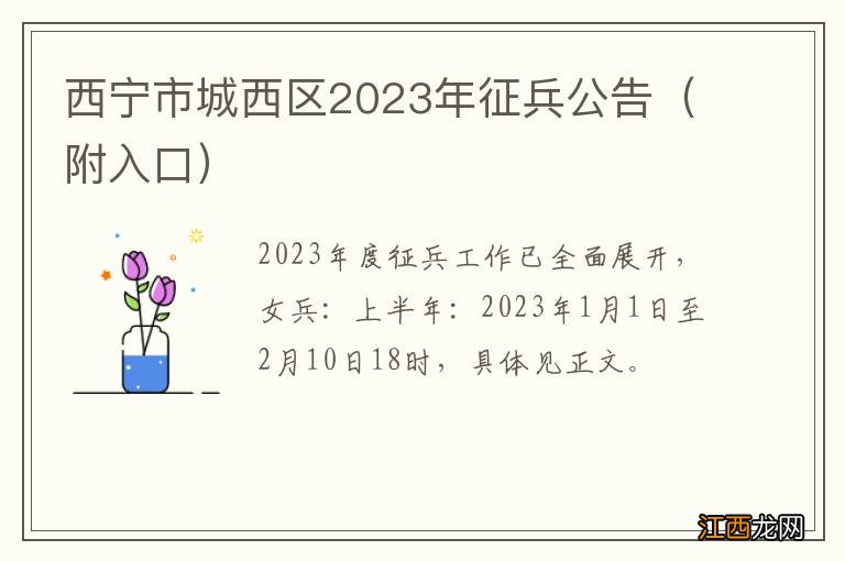 附入口 西宁市城西区2023年征兵公告