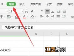 表格字体怎么竖着写