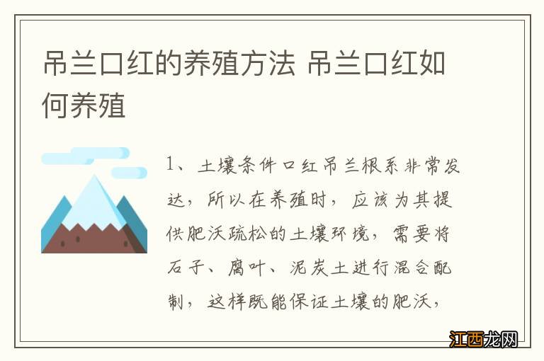 吊兰口红的养殖方法 吊兰口红如何养殖