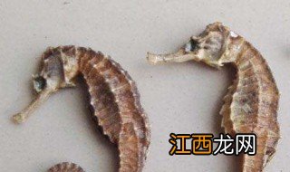 海马清洗方法 怎么洗海马