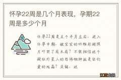 怀孕22周是几个月表现，孕期22周是多少个月