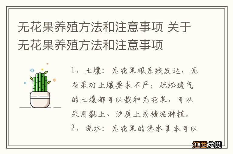 无花果养殖方法和注意事项 关于无花果养殖方法和注意事项