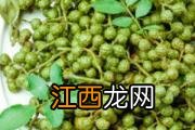 干花椒放冰箱保存好吗 花椒放冰箱湿了怎么办