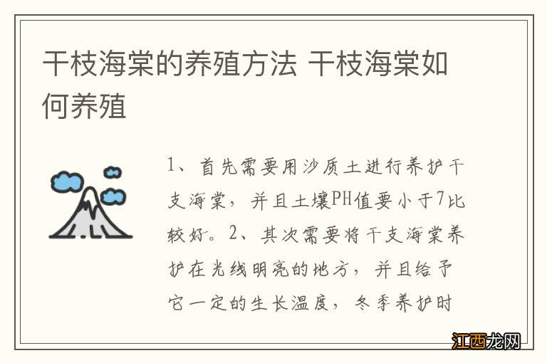 干枝海棠的养殖方法 干枝海棠如何养殖