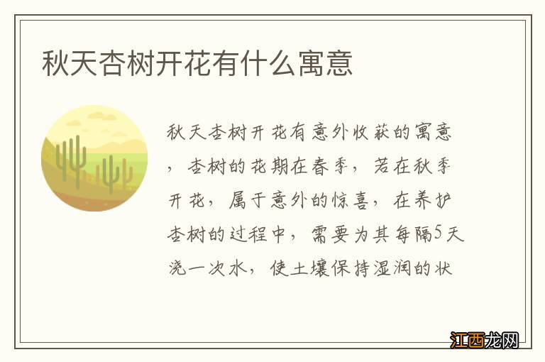 秋天杏树开花有什么寓意