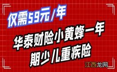 小黄蜂一年期少儿重疾险21哪家保险公司的？