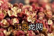 茄子为什么会苦 炒茄子苦吃了会中毒吗