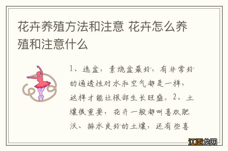 花卉养殖方法和注意 花卉怎么养殖和注意什么