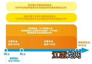 国寿鑫祥宝需要注意的细节是什么？