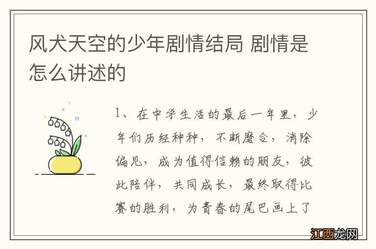 风犬天空的少年剧情结局 剧情是怎么讲述的