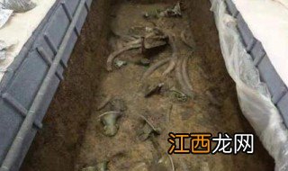 三星堆出土的女尸 三星堆出土有没有女尸