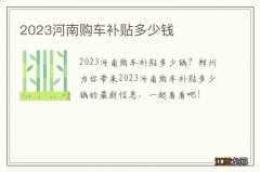 2023河南购车补贴多少钱