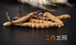 虫草补什么 冬虫夏草的食用功效与作用