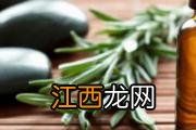 没药精油的功效与作用及禁忌