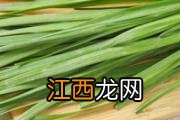 白玉菇是什么样的 白玉菇有什么好处