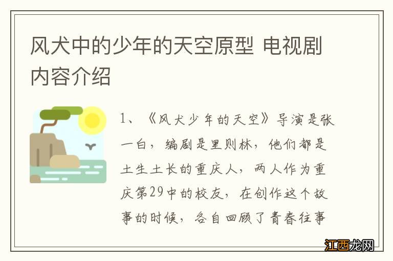 风犬中的少年的天空原型 电视剧内容介绍