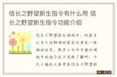 信长之野望新生指令有什么用 信长之野望新生指令功能介绍