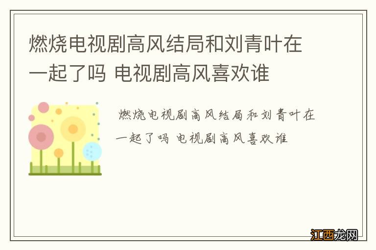 燃烧电视剧高风结局和刘青叶在一起了吗 电视剧高风喜欢谁