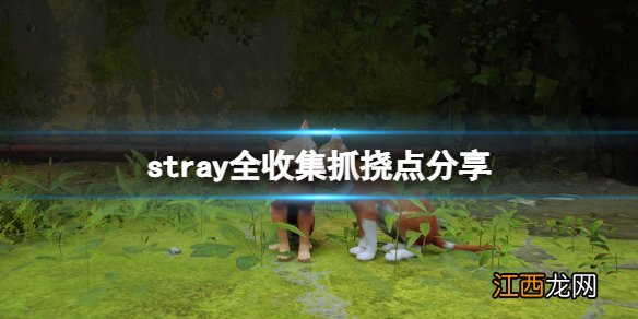 stray游戏全收集抓挠点分享 stray流浪猫抓挠点在哪里