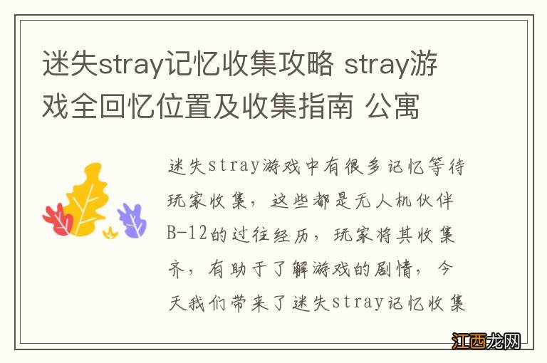 迷失stray记忆收集攻略 stray游戏全回忆位置及收集指南 公寓