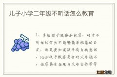 儿子小学二年级不听话怎么教育